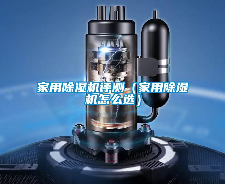欧美黄色电影在线播放 家用除湿机评测（家用除湿机怎么选）
