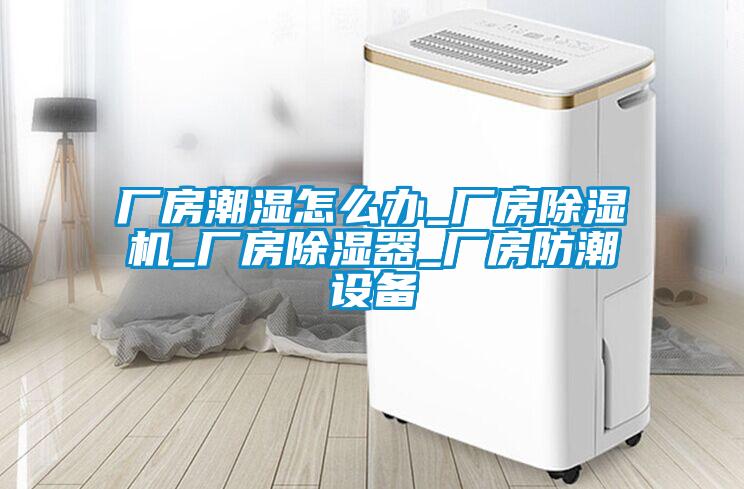 欧美成色手机在线观看 厂房潮湿怎么办_厂房除湿机_厂房除湿器_厂房防潮设备