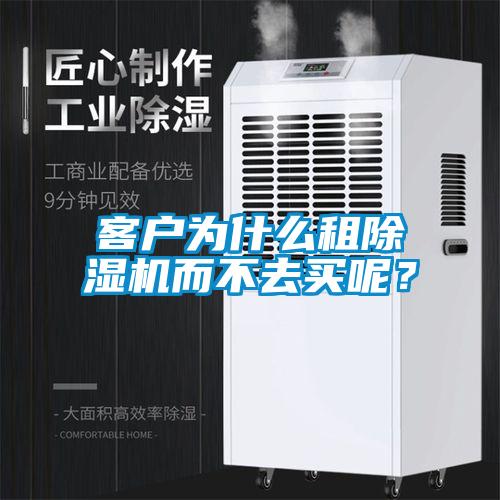 欧美成色手机在线观看 客户为什么租除湿机而不去买呢？