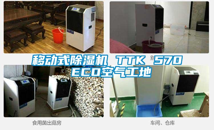欧美黄色性爱视频网站 移动式除湿机 TTK 570 ECO空气工地