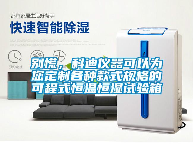 欧美成色手机在线观看 别慌，科迪仪器可以为您定制各种款式规格的可程式恒温恒湿试验箱