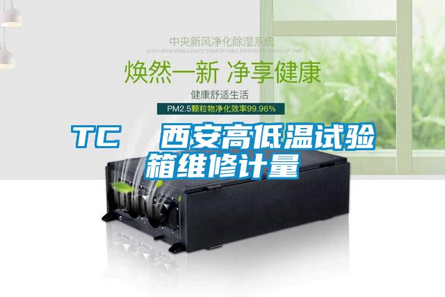 欧美黄色电影在线播放 TC  西安高低温试验箱维修计量