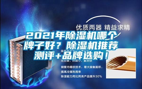 欧美黄色电影在线播放 2021年除湿机哪个牌子好？除湿机推荐测评+品牌选购！