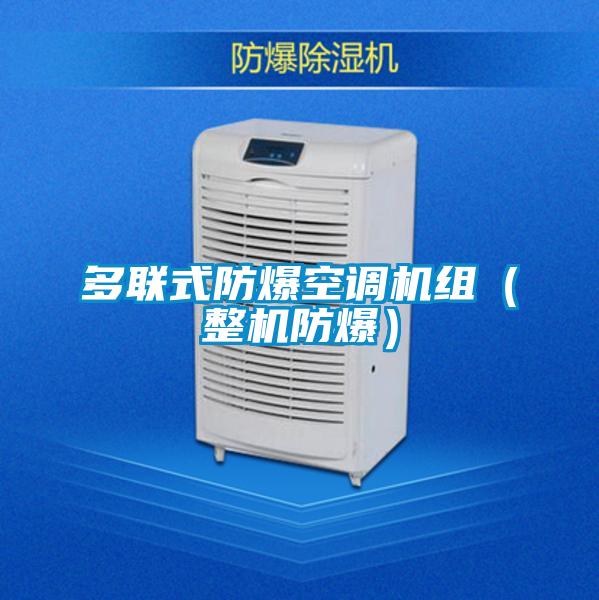 欧美黄色性爱视频网站 多联式防爆空调机组（整机防爆）