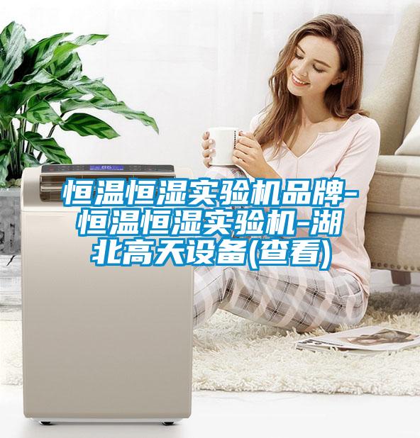 欧美黄色电影在线播放 恒温恒湿实验机品牌-恒温恒湿实验机-湖北高天设备(查看)
