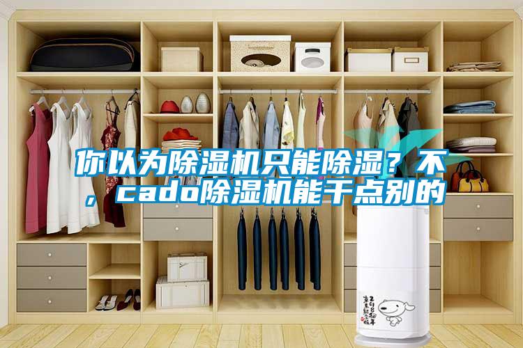 欧美黄色电影在线播放 你以为除湿机只能除湿？不，cado除湿机能干点别的