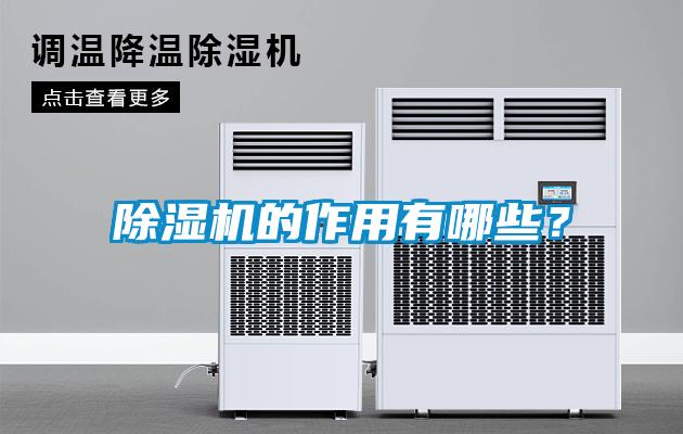 欧美黄色电影在线播放 除湿机的作用有哪些？