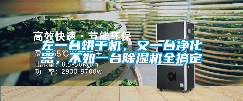 欧美成色手机在线观看 左一台烘干机，又一台净化器，不如一台除湿机全搞定