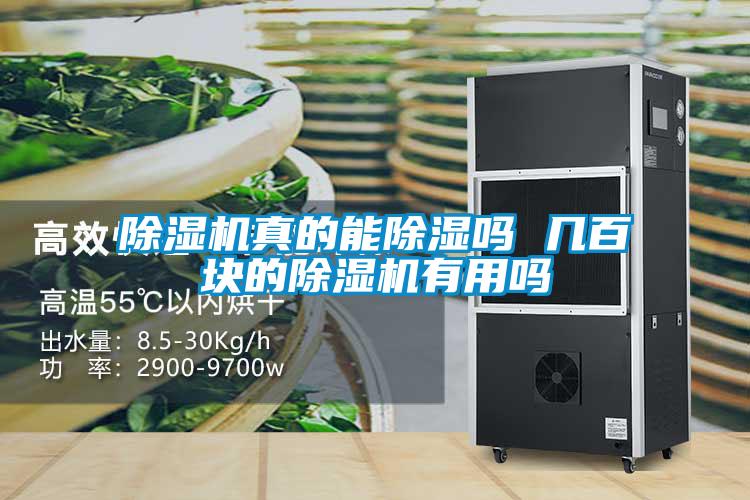 欧美黄色性爱视频网站 除湿机真的能除湿吗 几百块的除湿机有用吗
