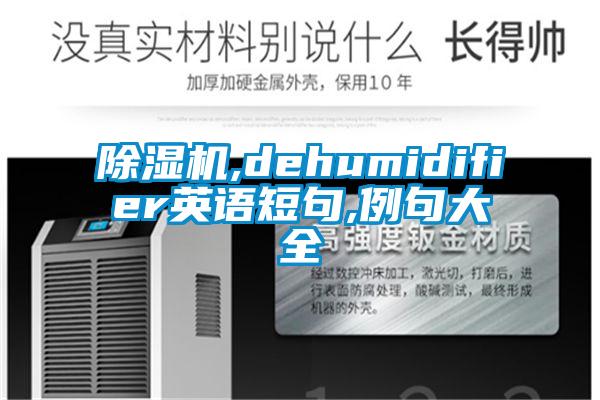 欧美黄色性爱视频网站 除湿机,dehumidifier英语短句,例句大全