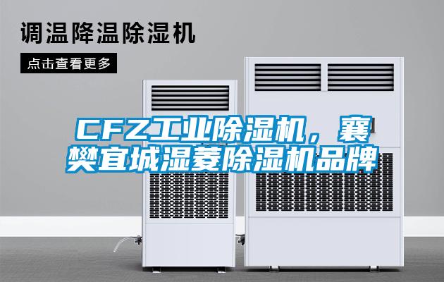 欧美成色手机在线观看 CFZ工业除湿机，襄樊宜城湿菱除湿机品牌