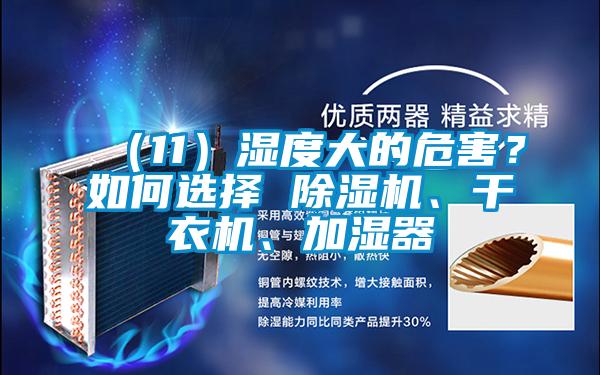 欧美黄色电影在线播放 （11）湿度大的危害？如何选择 除湿机、干衣机、加湿器