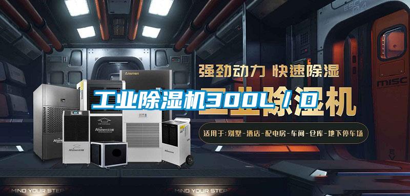 欧美黄色电影在线播放 工业除湿机300L／D