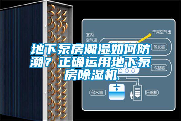 欧美黄色电影在线播放 地下泵房潮湿如何防潮？正确运用地下泵房除湿机