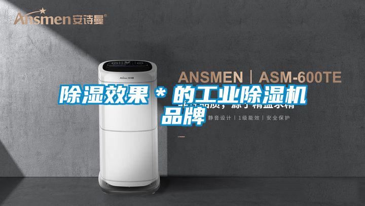 欧美黄色性爱视频网站 除湿效果＊的工业除湿机品牌
