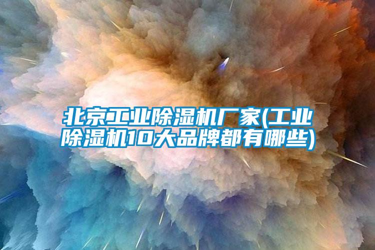 欧美黄色性爱视频网站 北京工业除湿机厂家(工业除湿机10大品牌都有哪些)