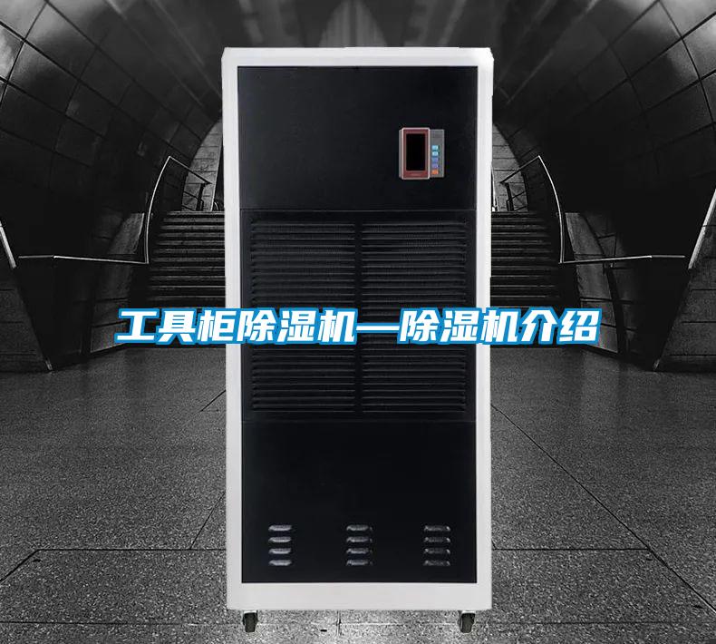 欧美成色手机在线观看 工具柜除湿机—除湿机介绍
