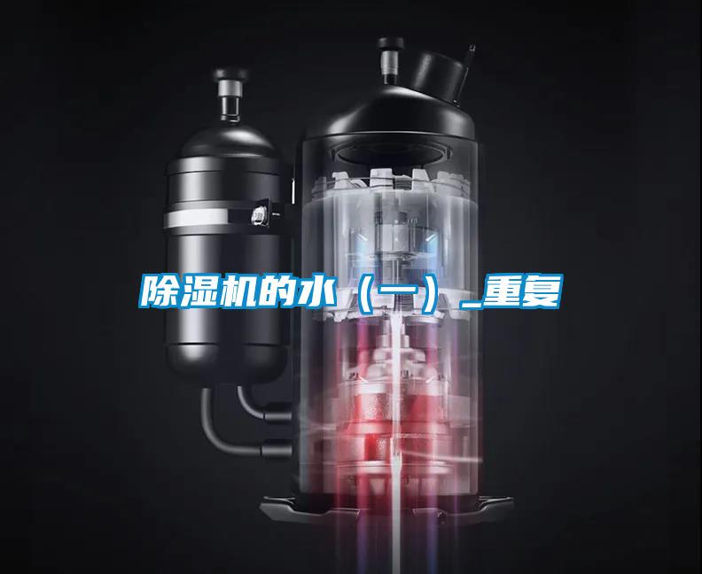 欧美黄色性爱视频网站 除湿机的水（一）_重复