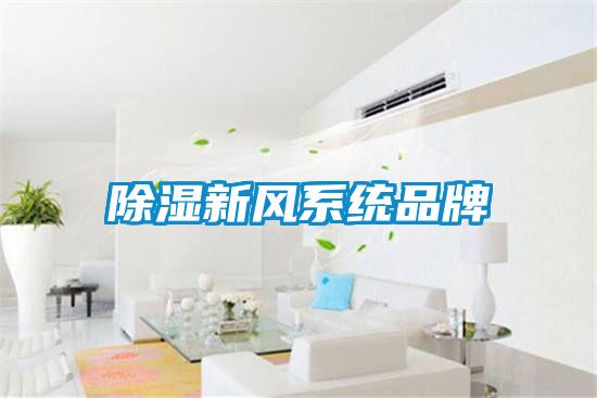 欧美成色手机在线观看 除湿新风系统品牌