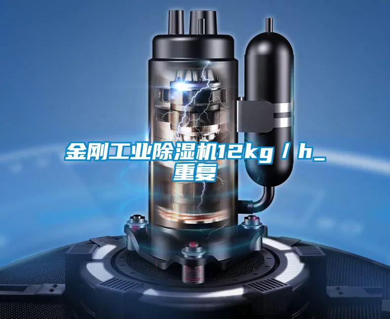 欧美黄色性爱视频网站 金刚工业除湿机12kg／h_重复