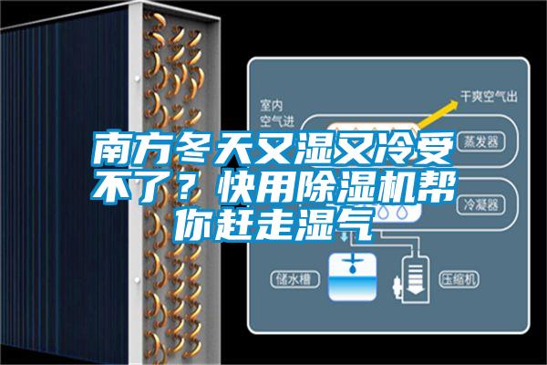 欧美黄色性爱视频网站 南方冬天又湿又冷受不了？快用除湿机帮你赶走湿气