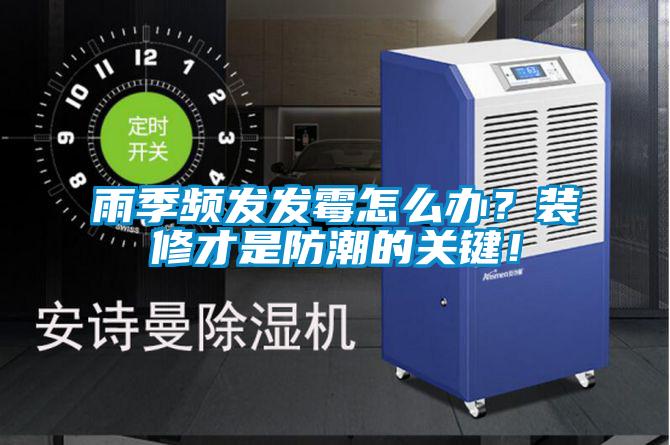 欧美成色手机在线观看 雨季频发发霉怎么办？装修才是防潮的关键！