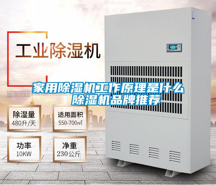 欧美黄色电影在线播放 家用除湿机工作原理是什么  除湿机品牌推荐