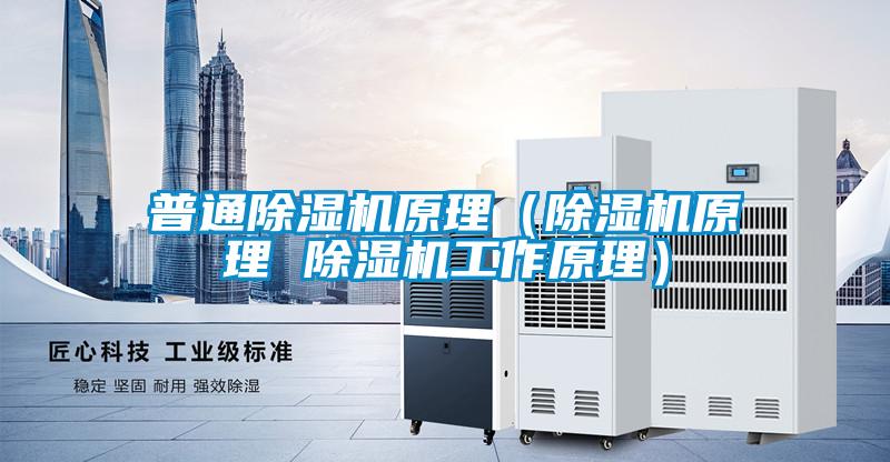 欧美黄色性爱视频网站 普通除湿机原理（除湿机原理 除湿机工作原理）