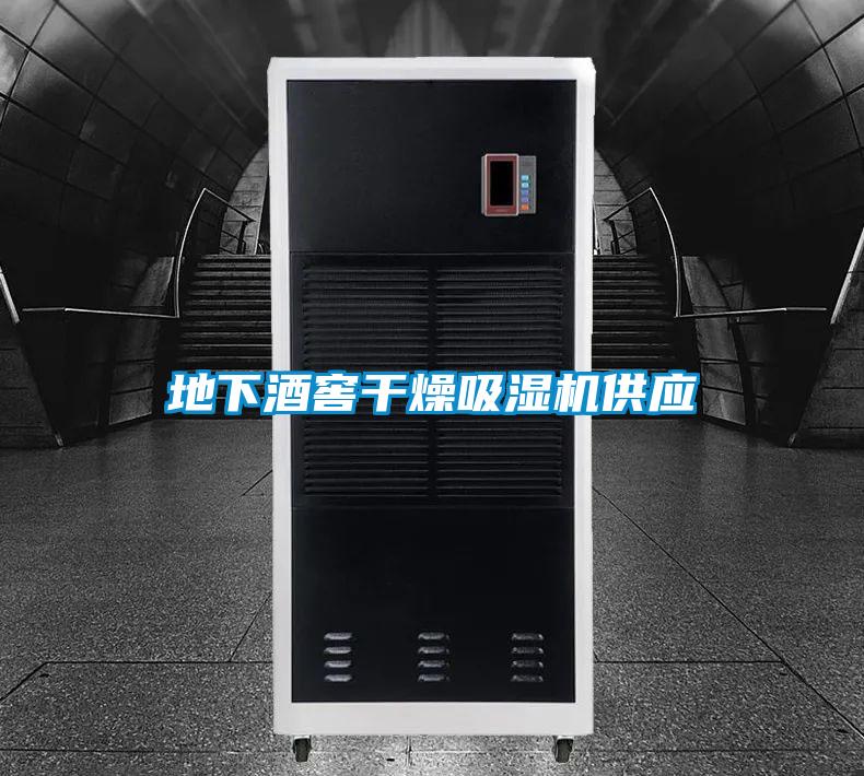 欧美黄色电影在线播放 地下酒窖干燥吸湿机供应
