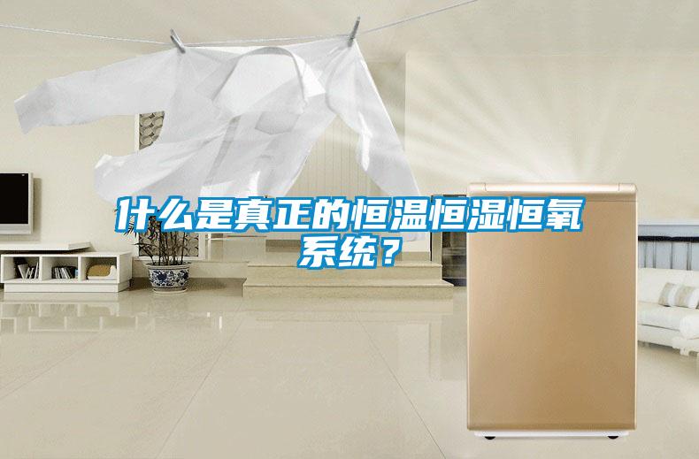 欧美黄色性爱视频网站 什么是真正的恒温恒湿恒氧系统？