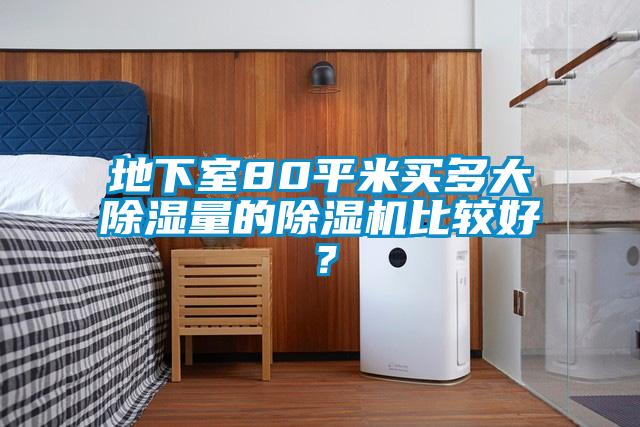 欧美成色手机在线观看 地下室80平米买多大除湿量的除湿机比较好？