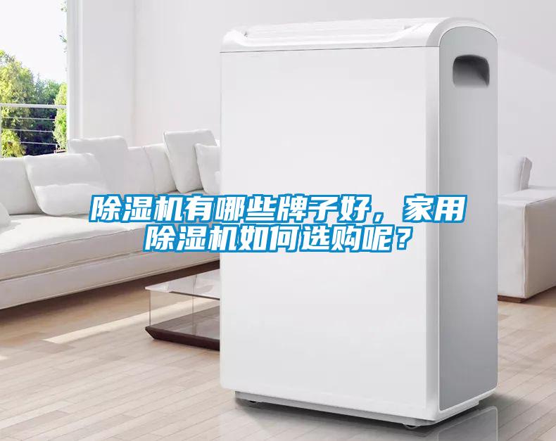 欧美成色手机在线观看 除湿机有哪些牌子好，家用除湿机如何选购呢？