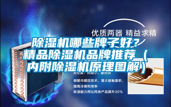 欧美成色手机在线观看 除湿机哪些牌子好？精品除湿机品牌推荐（内附除湿机原理图解）