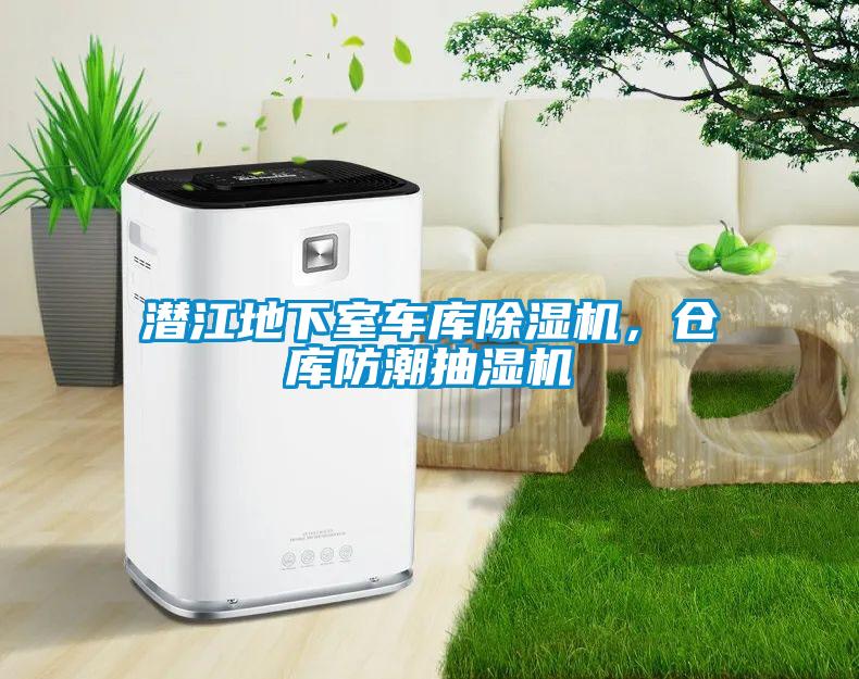 欧美黄色电影在线播放 潜江地下室车库除湿机，仓库防潮抽湿机