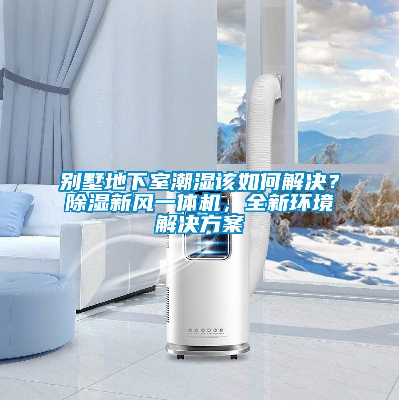欧美黄色性爱视频网站 别墅地下室潮湿该如何解决？除湿新风一体机，全新环境解决方案