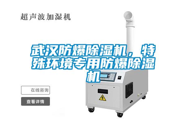 欧美黄色电影在线播放 武汉防爆除湿机，特殊环境专用防爆除湿机