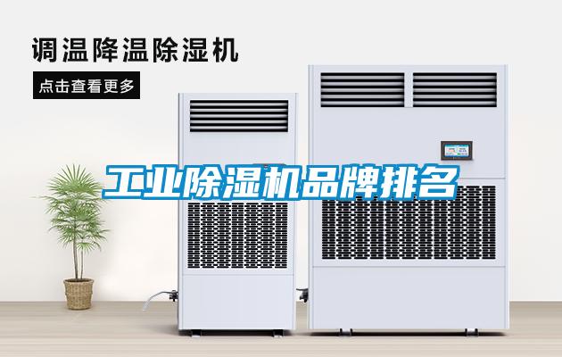 欧美黄色电影在线播放 工业除湿机品牌排名