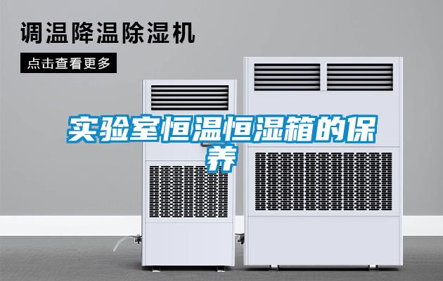 欧美黄色电影在线播放 实验室恒温恒湿箱的保养