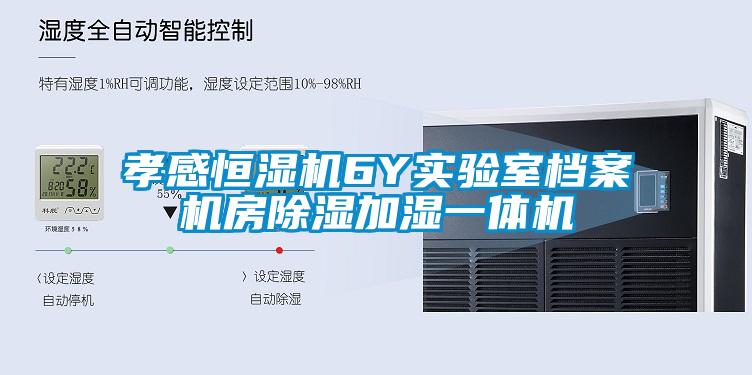 欧美黄色性爱视频网站 孝感恒湿机6Y实验室档案机房除湿加湿一体机