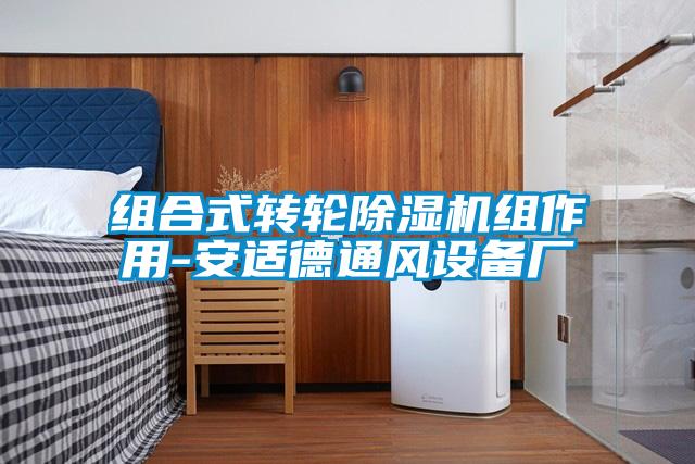 欧美黄色性爱视频网站 组合式转轮除湿机组作用-安适德通风设备厂