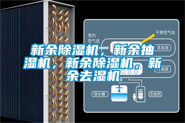 欧美成色手机在线观看 新余除湿机，新余抽湿机，新余除湿机，新余去湿机
