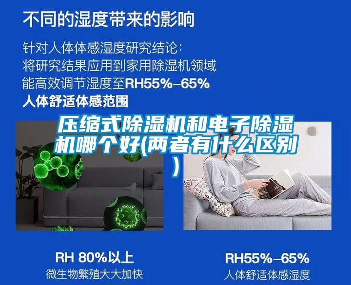 欧美成色手机在线观看 压缩式除湿机和电子除湿机哪个好(两者有什么区别)