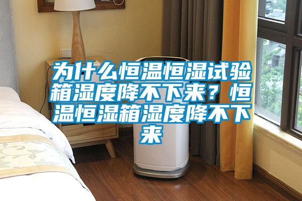 欧美黄色电影在线播放 为什么恒温恒湿试验箱湿度降不下来？恒温恒湿箱湿度降不下来