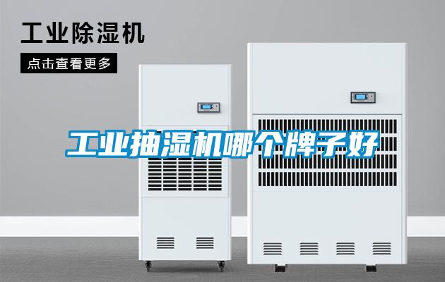 欧美黄色电影在线播放 工业抽湿机哪个牌子好