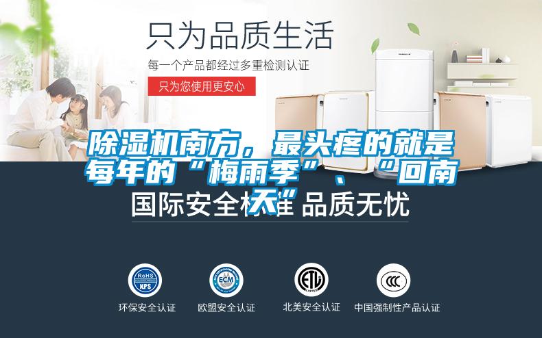 欧美成色手机在线观看 除湿机南方，最头疼的就是每年的“梅雨季”、“回南天”