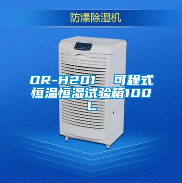 欧美黄色性爱视频网站 DR-H201  可程式恒温恒湿试验箱100L