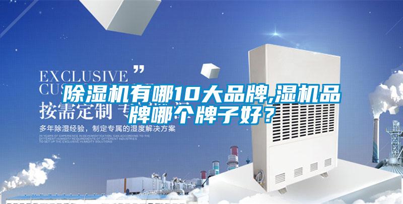 欧美黄色性爱视频网站 除湿机有哪10大品牌,湿机品牌哪个牌子好？