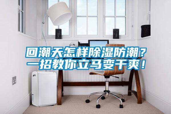 欧美黄色电影在线播放 回潮天怎样除湿防潮？一招教你立马变干爽！