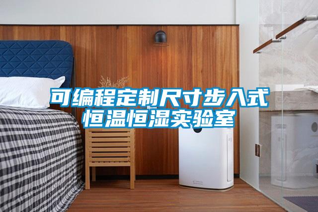 欧美黄色电影在线播放 可编程定制尺寸步入式恒温恒湿实验室