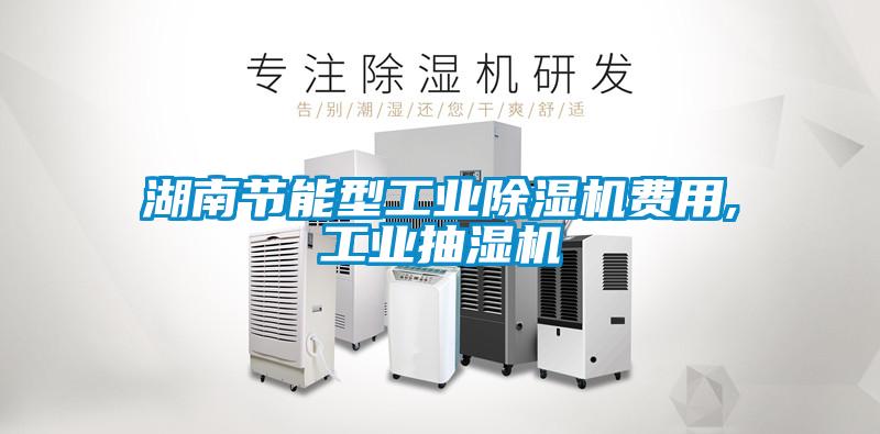 欧美成色手机在线观看 湖南节能型工业除湿机费用,工业抽湿机